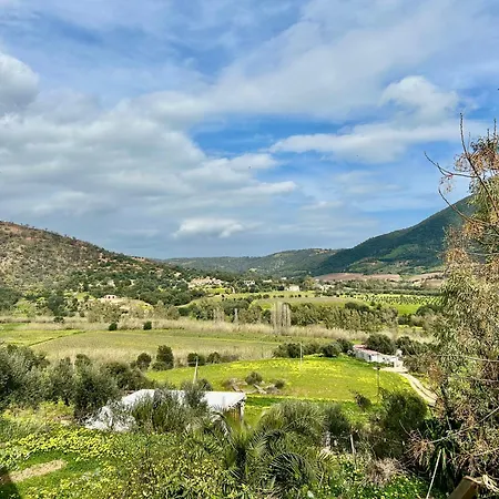 Il Glicine Di Pelau - بيت للعطل